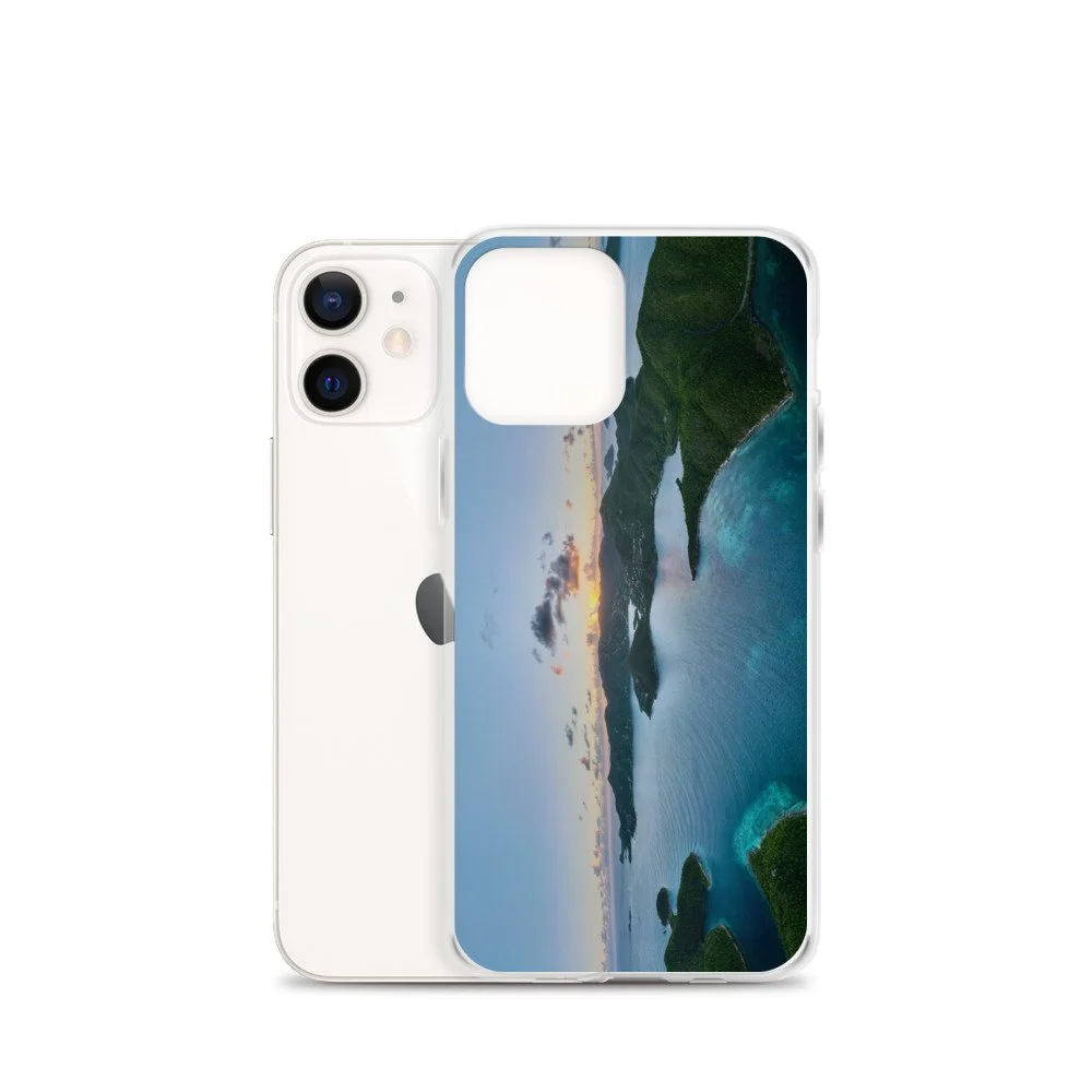 iphone-case-iphone-12-mini-case-with-phone-6193f3224966e.jpg