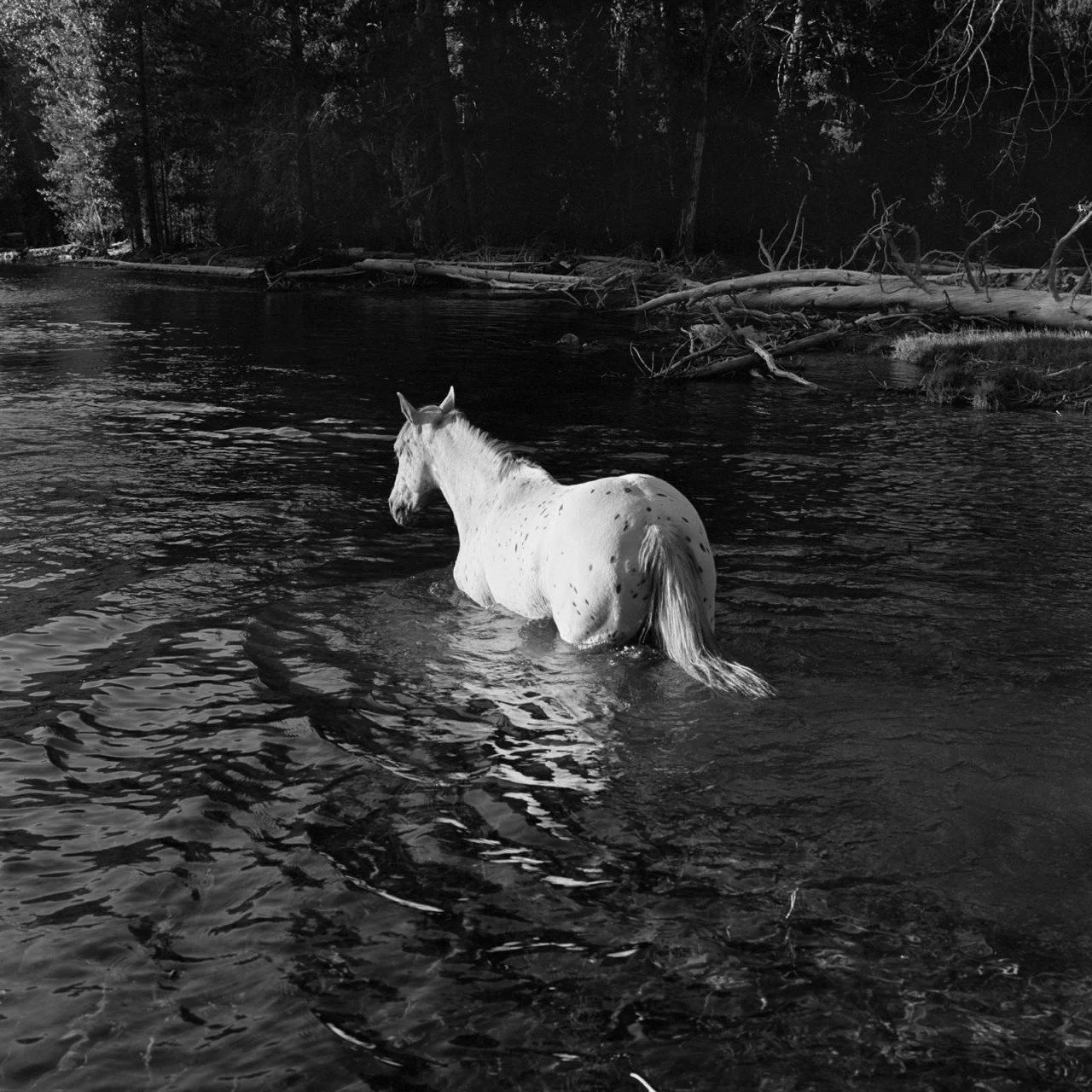 Mercury began it's triannual retrograde, and 
&iexcl; What a retrograde it will be !

Mercury, the quicksilver messenger of the gods is the alchemical solvent, helping us to bridge upper &amp; lower, body &amp; soul, by releasing existing bonds and r