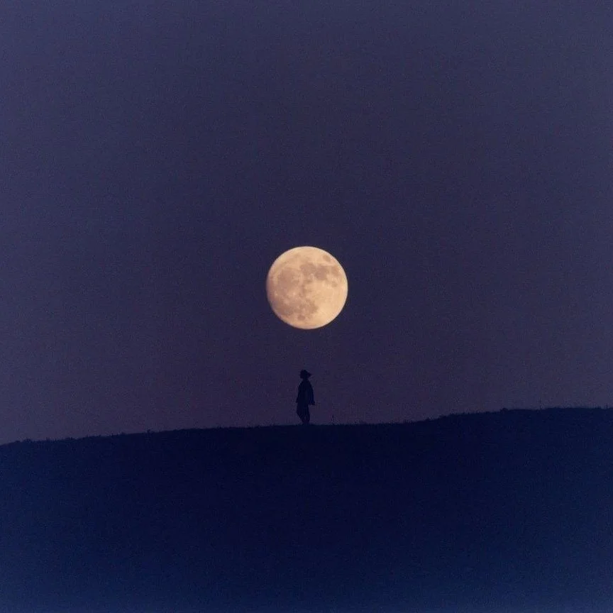 Wesak / Beltane / Scorpio 🌕

Tonights Full Moon in Scorpio is the Buddhist Wesak festival - commemorating the birth, Enlightenment and also death of the Buddha, which are all said to have taken place under the light of a Scorpio Full Moon. 
Which to
