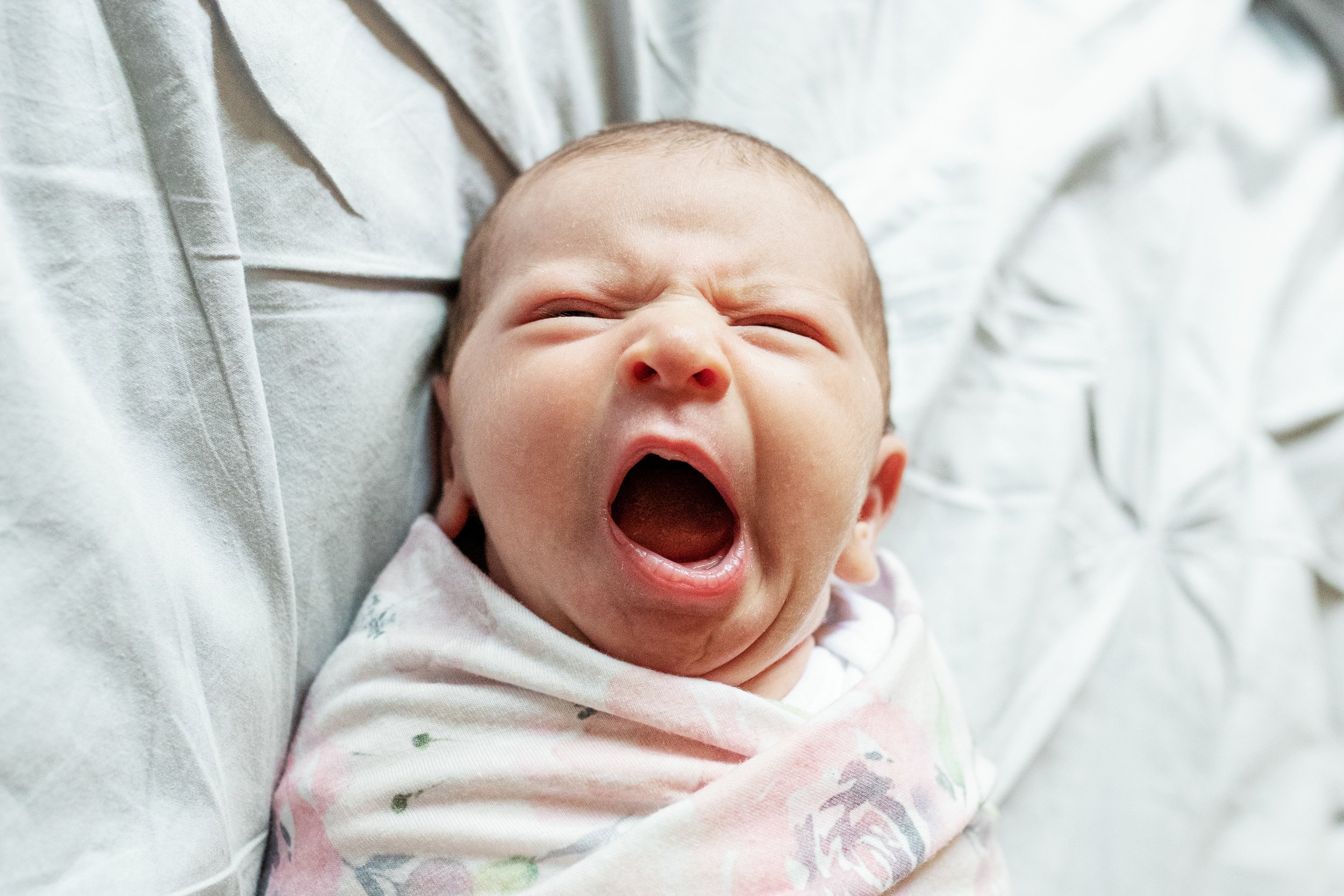 Swaddled newborn baby yawning