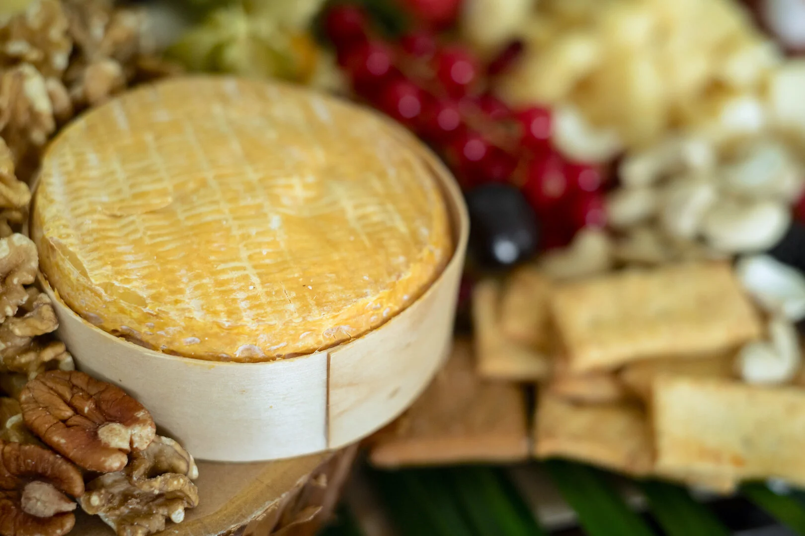 Cheese & Nuts Botanica.jpg
