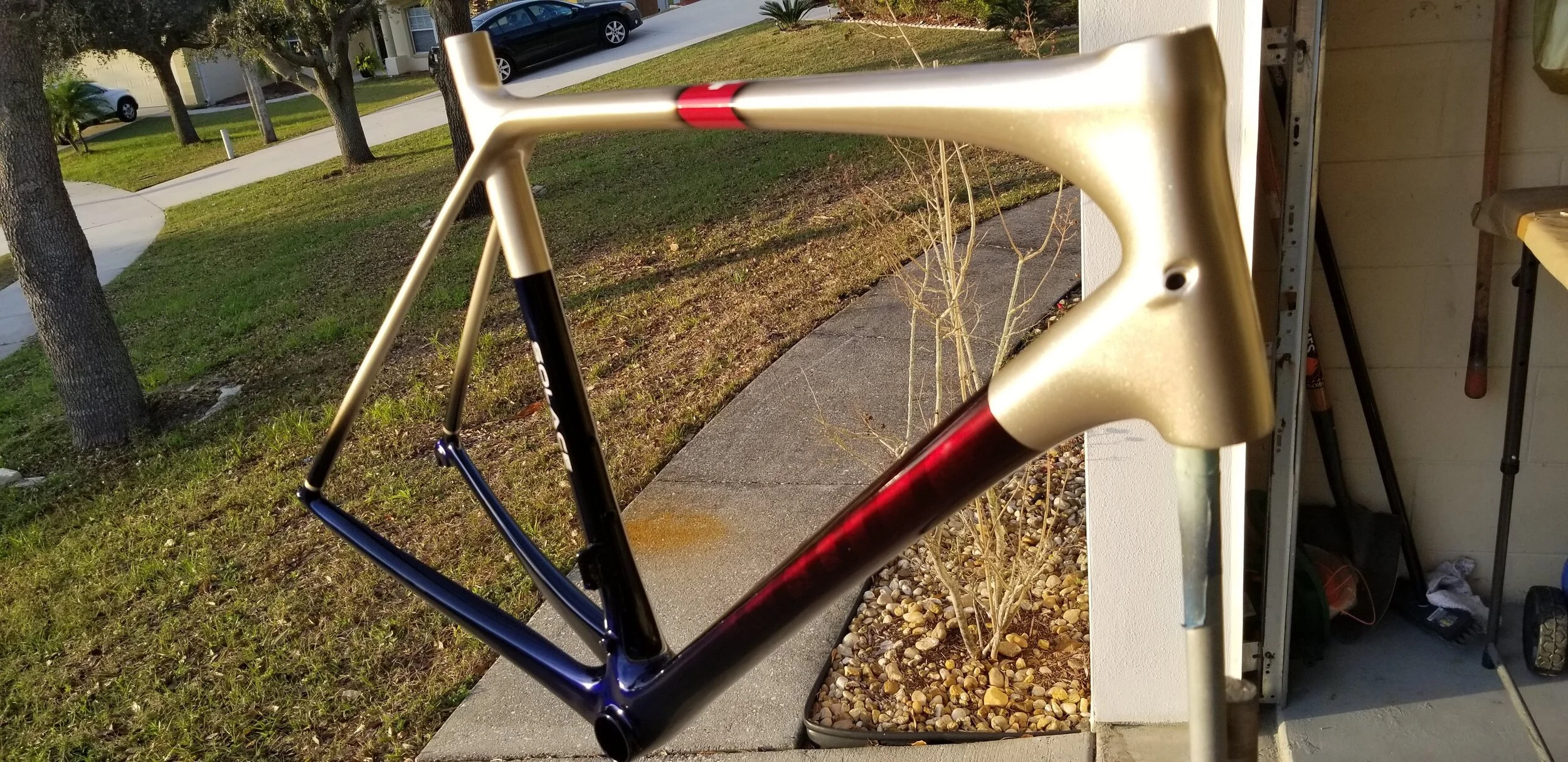 20190216_174645.jpg