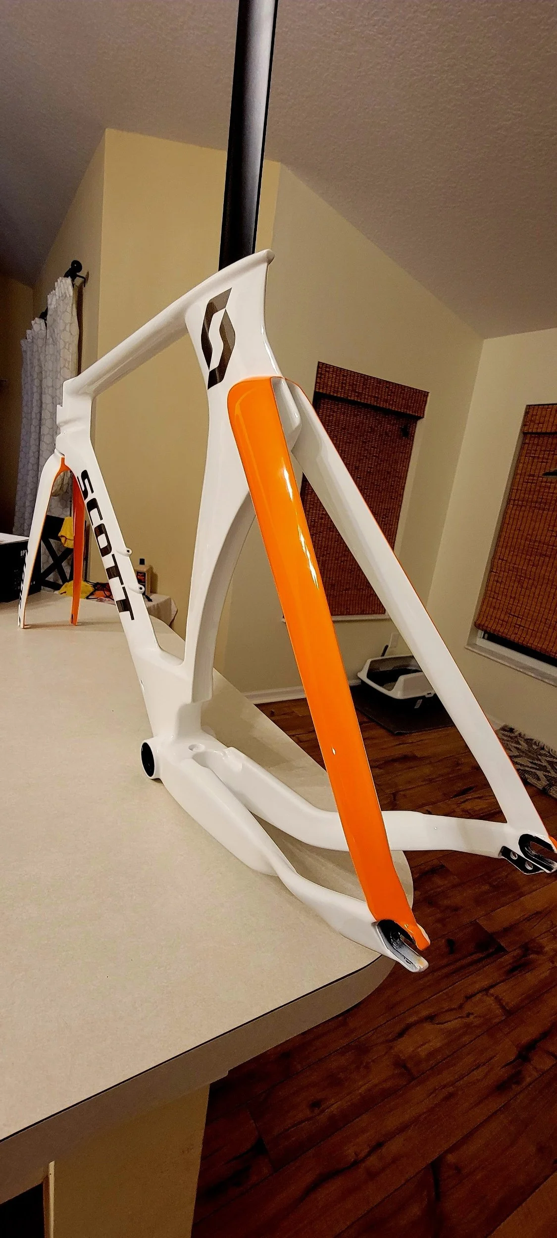 processed_20220823_205857.jpg