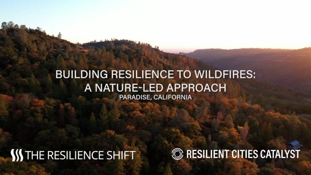 Building Resilience to Wildfires: A Nature-Led Approach