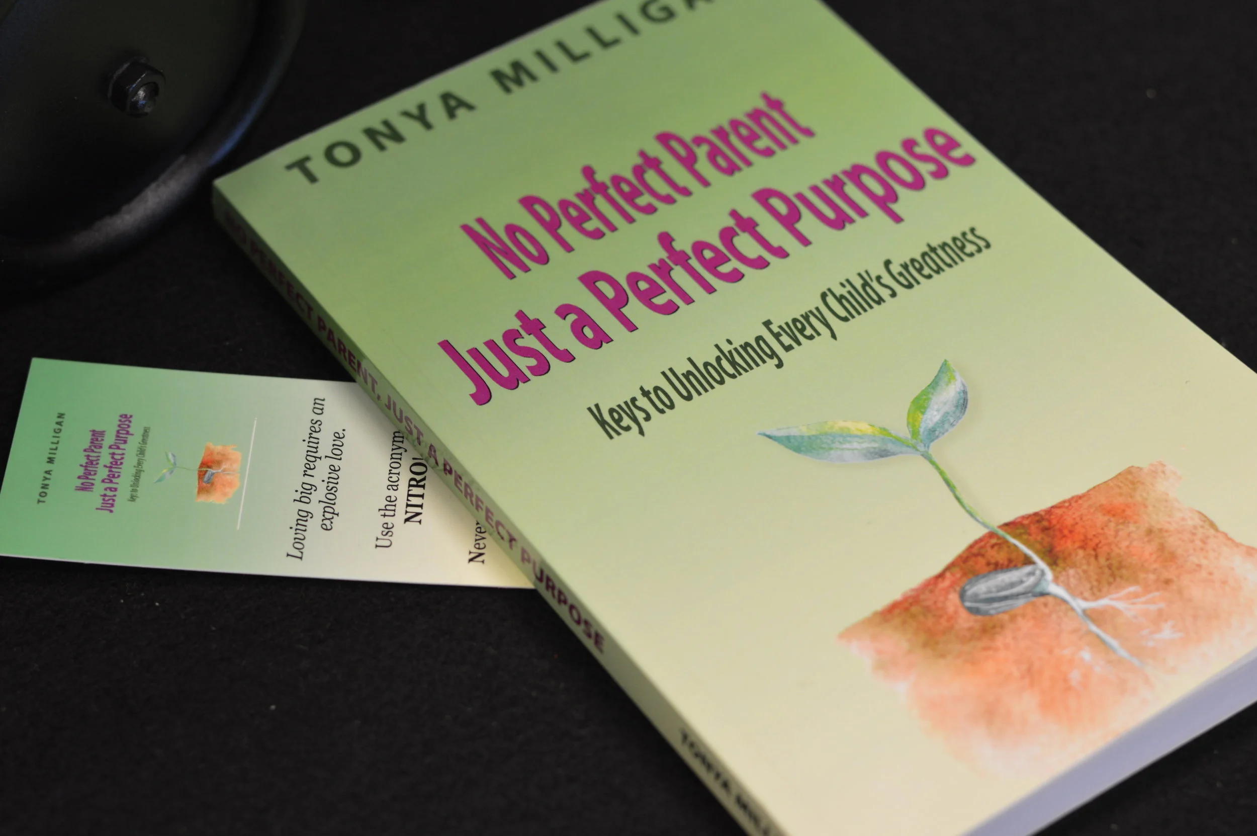 Perfect Purpose Workshop 