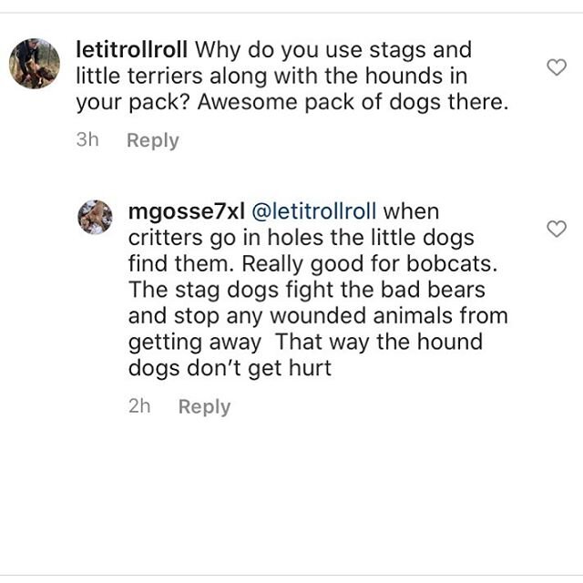 A great question from @letitrollroll to @mgosse7xl.
.
.
Any other hound hunters out there who use other dogs besides hounds? Since joining Instagram, we&rsquo;ve seen some interesting breeds and uses for dogs of all shapes, sizes, and temperaments.
.