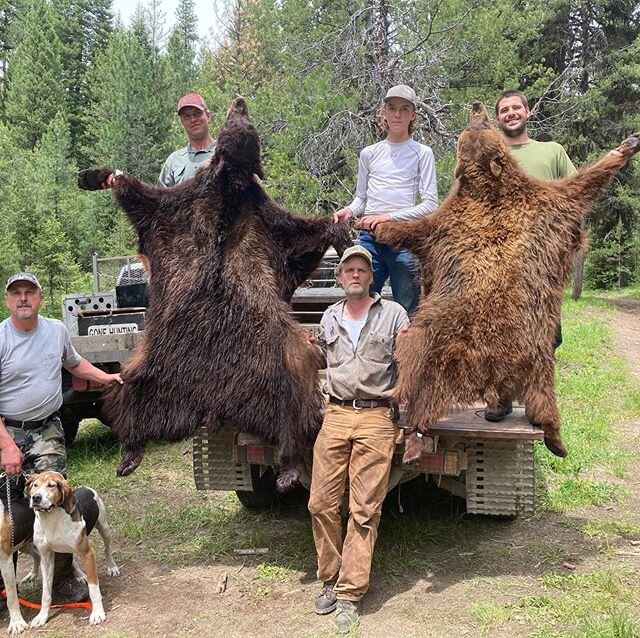 Great weekend for the Youren Gang 🐻🐻 .
.
9 days of bear hunting left. Message us if you want to come hunting right out of Boise! We are doing discounts for individuals and group hunts. 1 or 2 day hunts. If you want a last minute 2020 spring bear, w
