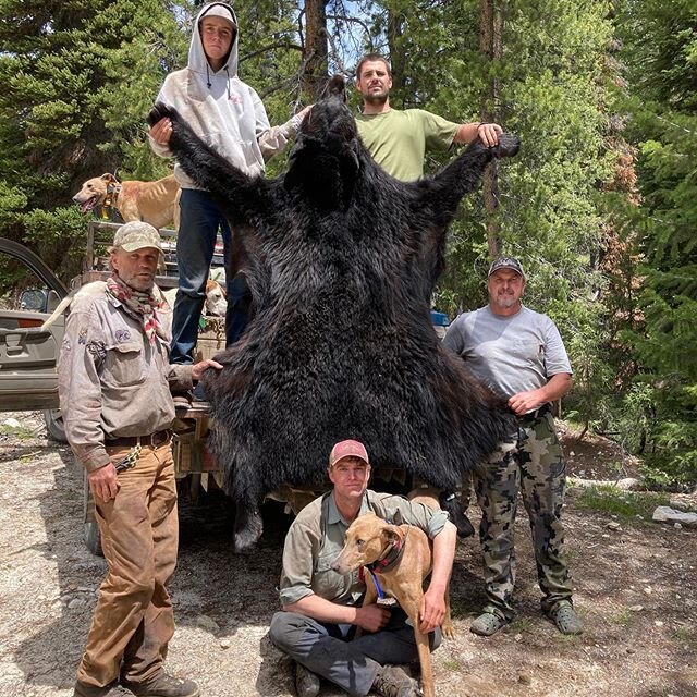 Bear season ends on Tuesday and we have a deal for anyone who hasn&rsquo;t got their Idaho spring bear yet. Here&rsquo;s the deal...
🐻🐶1 day hunt, $500 to go hunting.
_
🏆Trophy fee of $1000 if you get a larger bear.
_
🥈Trophy fee of $500 if you g