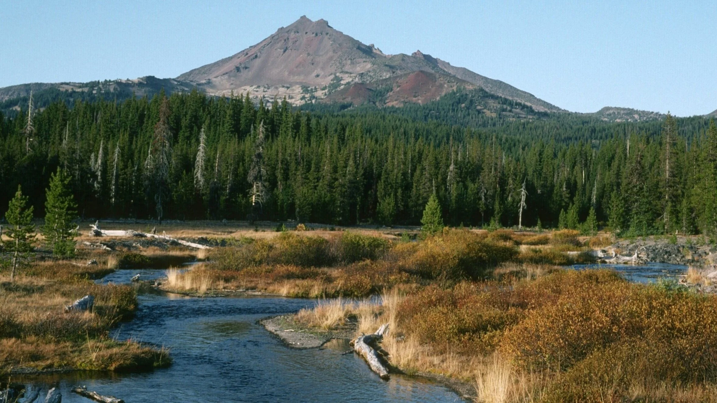 Fall_Creek%2525252C_Deschutes_National_Forest_%2525252837092581365%25252529.jpg