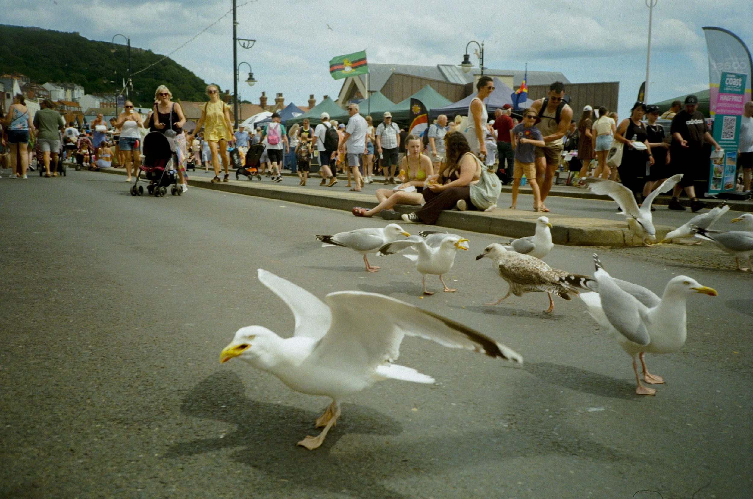 AlexIvoryScarborough-21.jpg