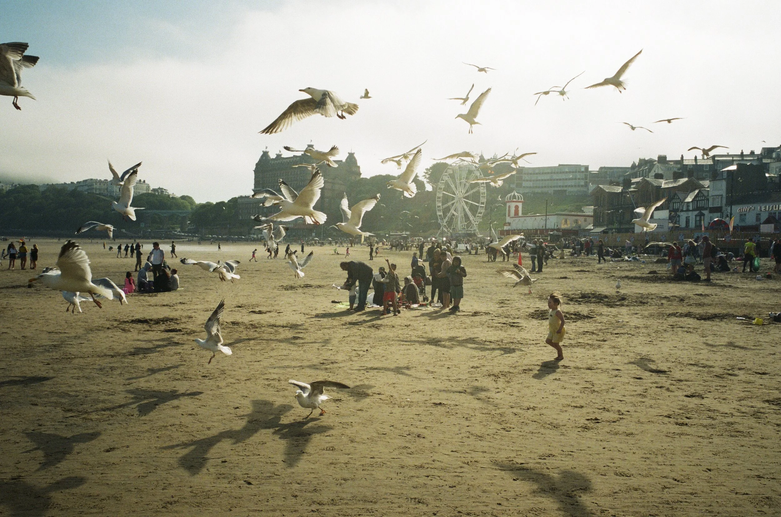 AlexIvoryScarborough-81.jpg