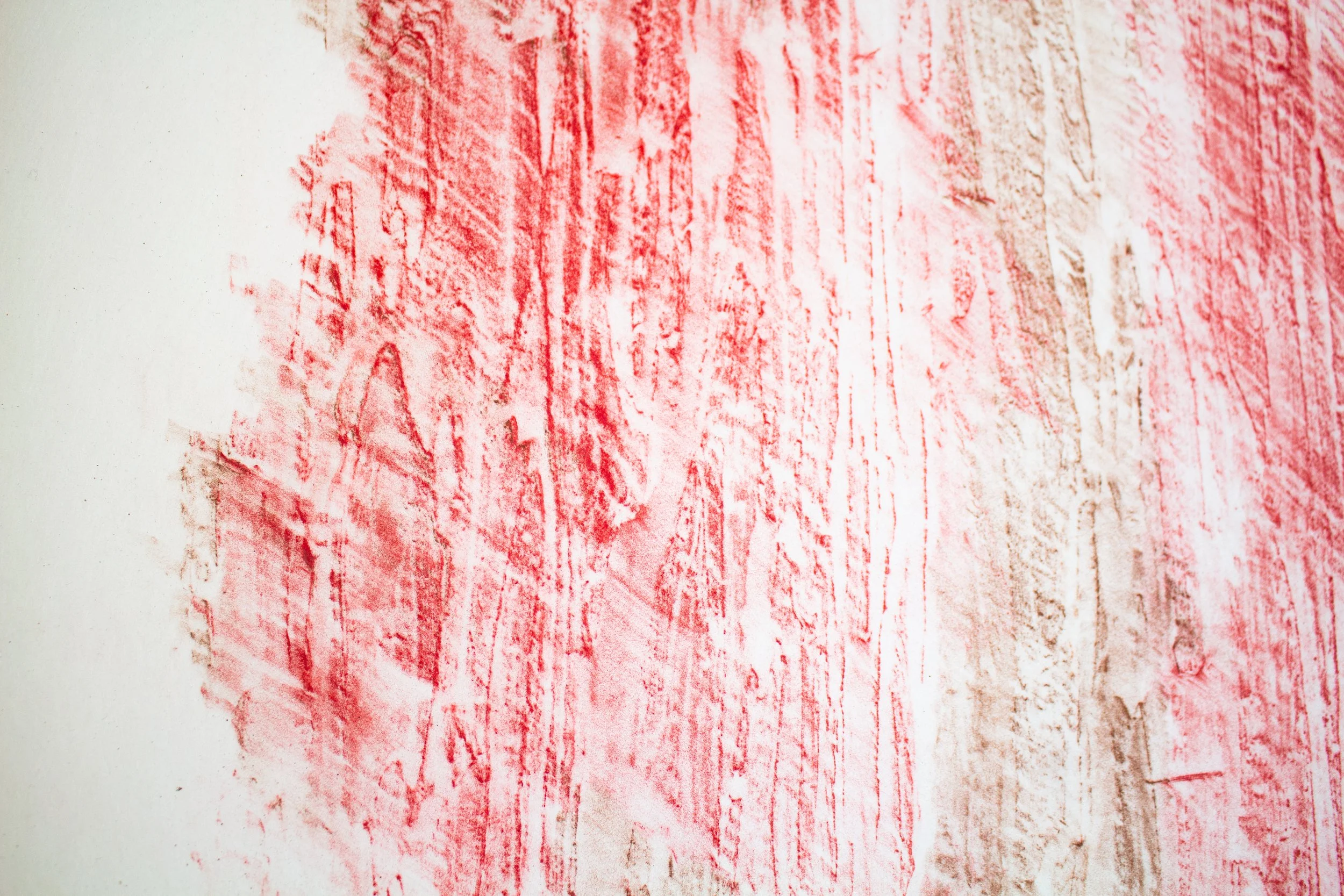 10redwoodrubbingCLOSEUP2.jpg