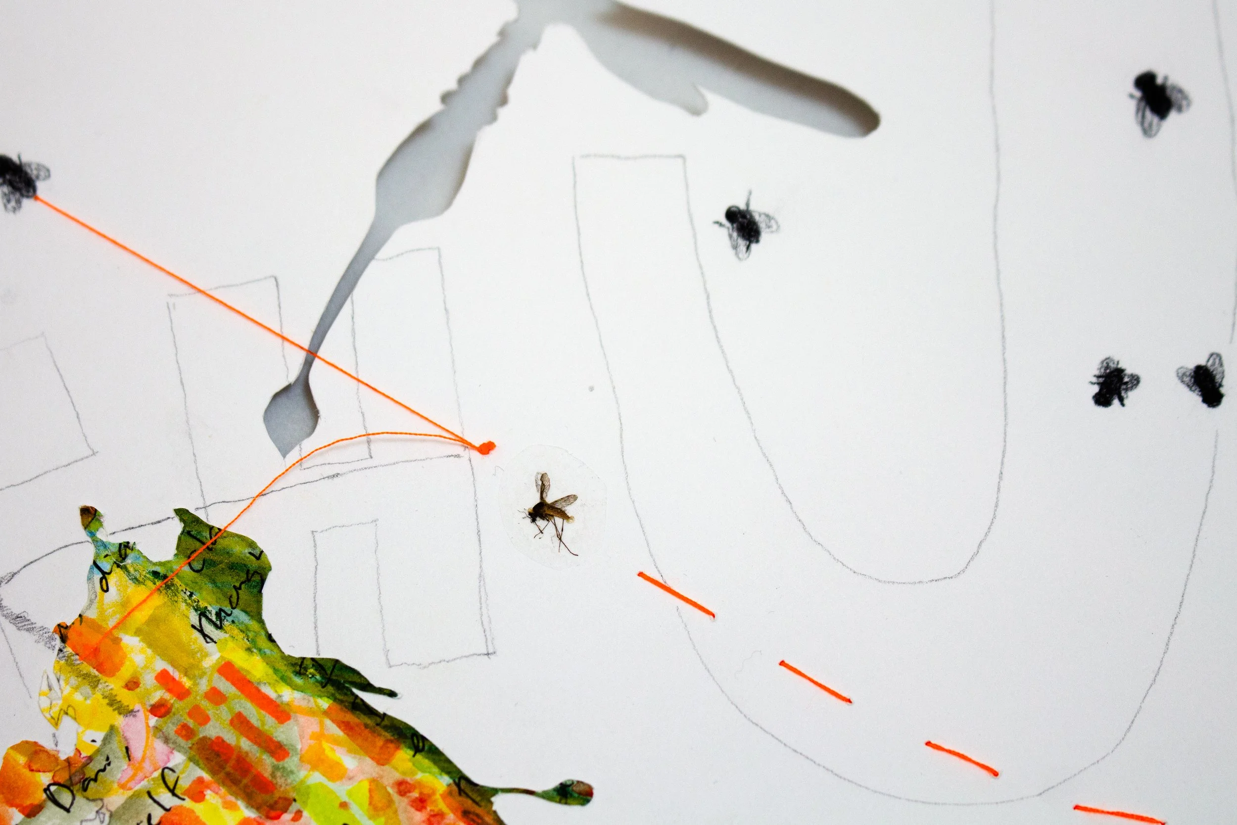 13Mosquito.detail3.jpg