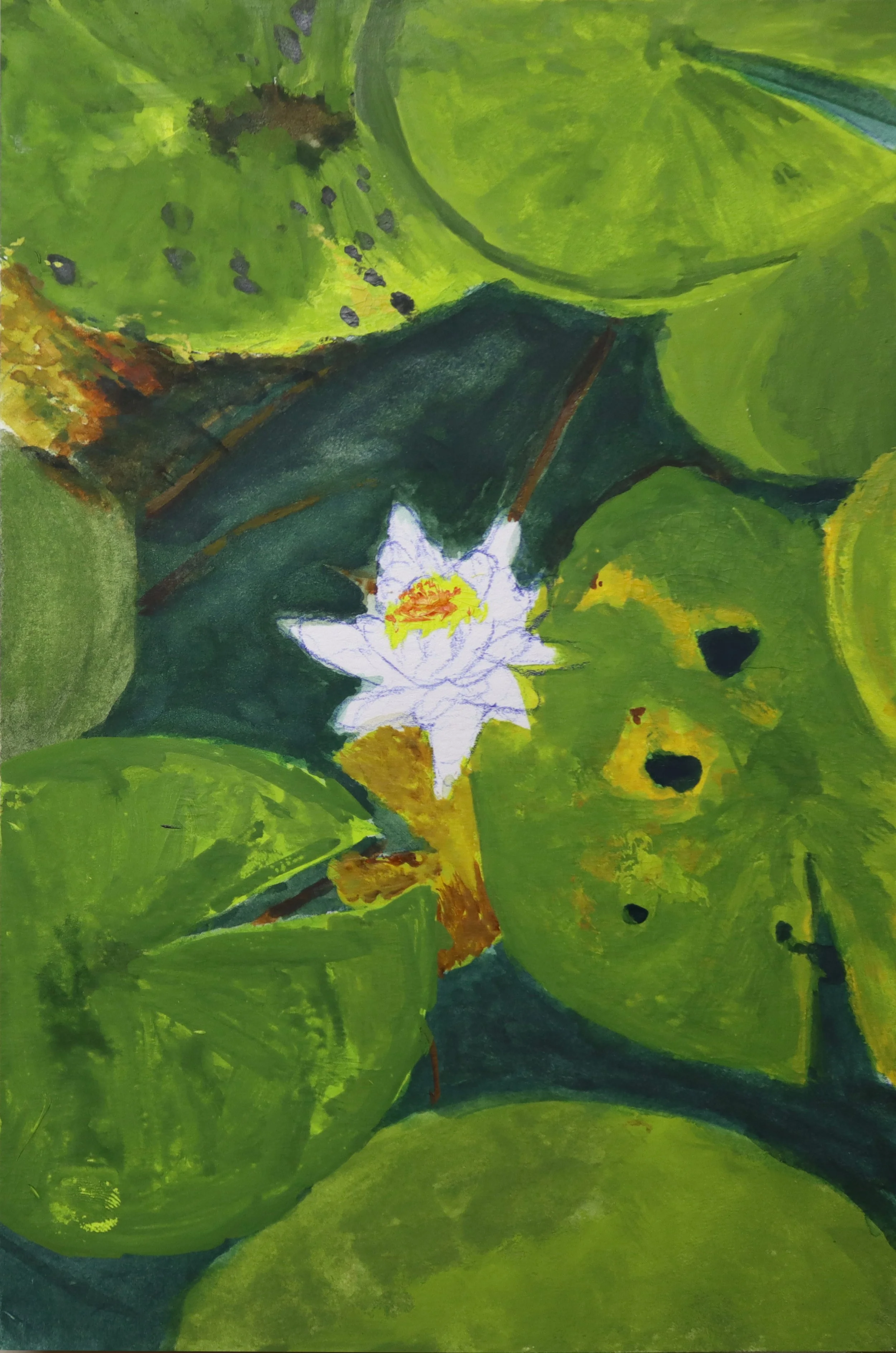 White Lotus
