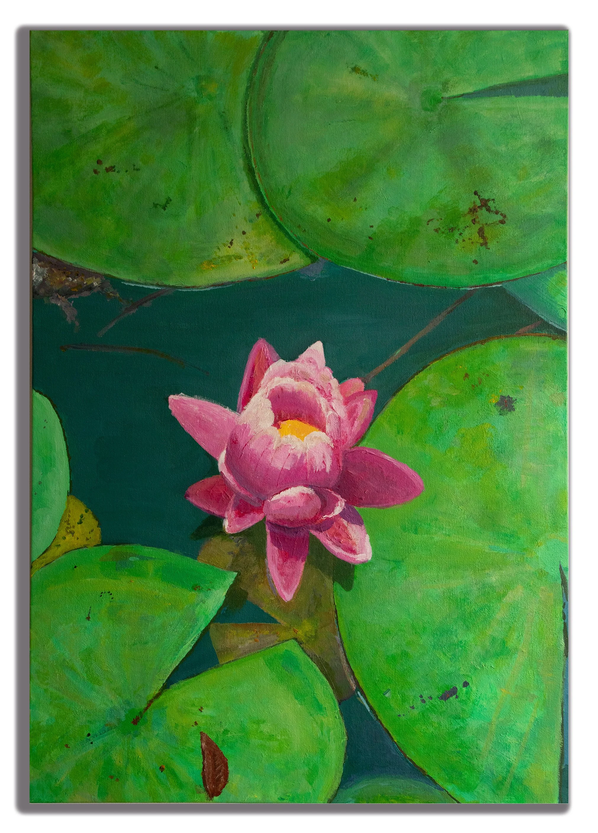 Lotus Flower FNCC .jpg