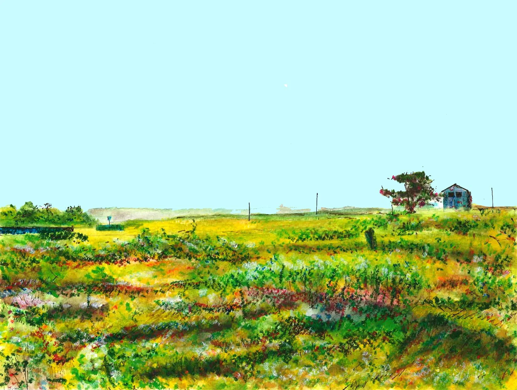 Sag harbor lands.jpg
