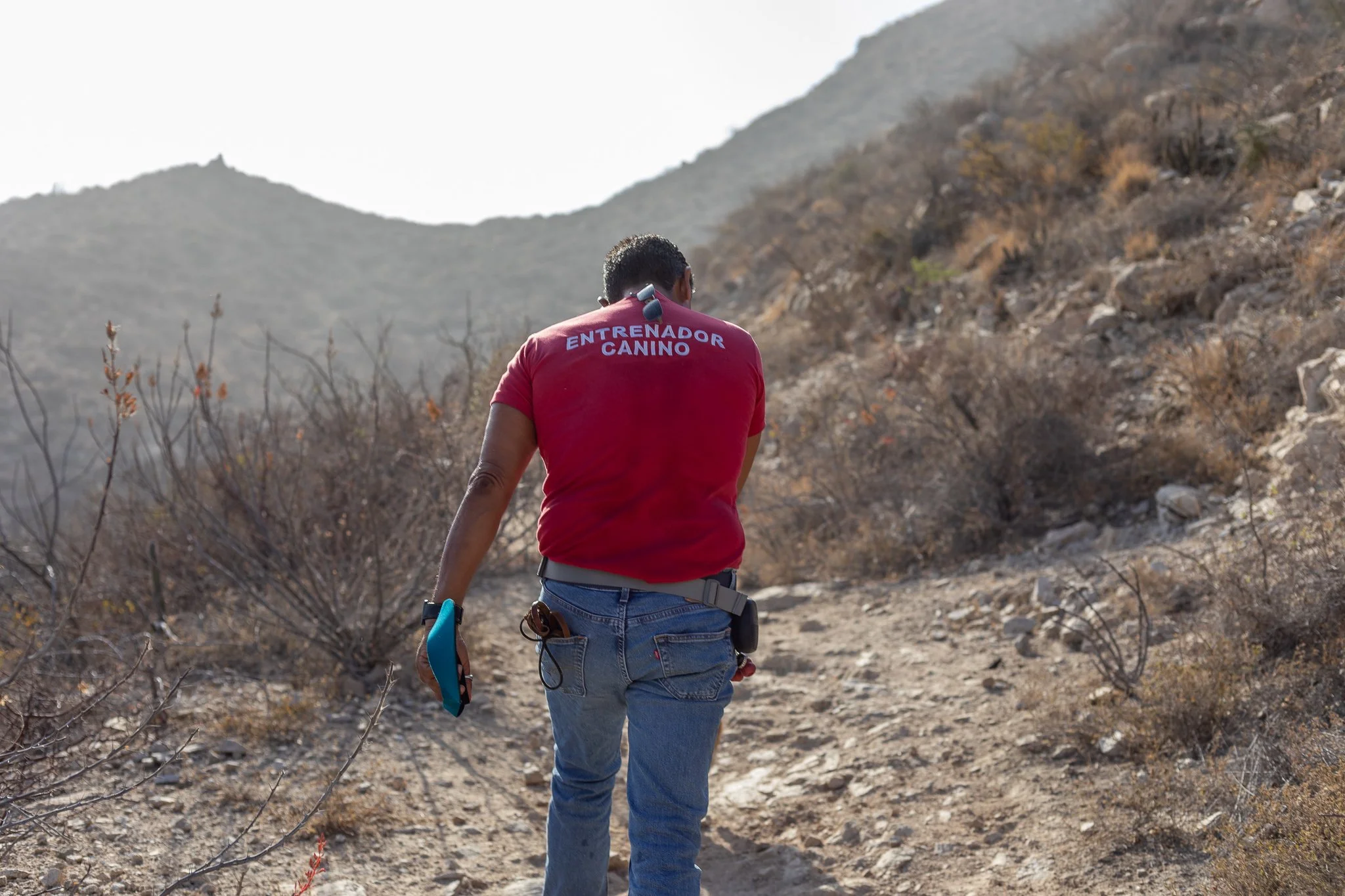 4E2A3433.jpg
