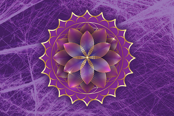 Fascial Chakras Website Image Purple with Fascia.png