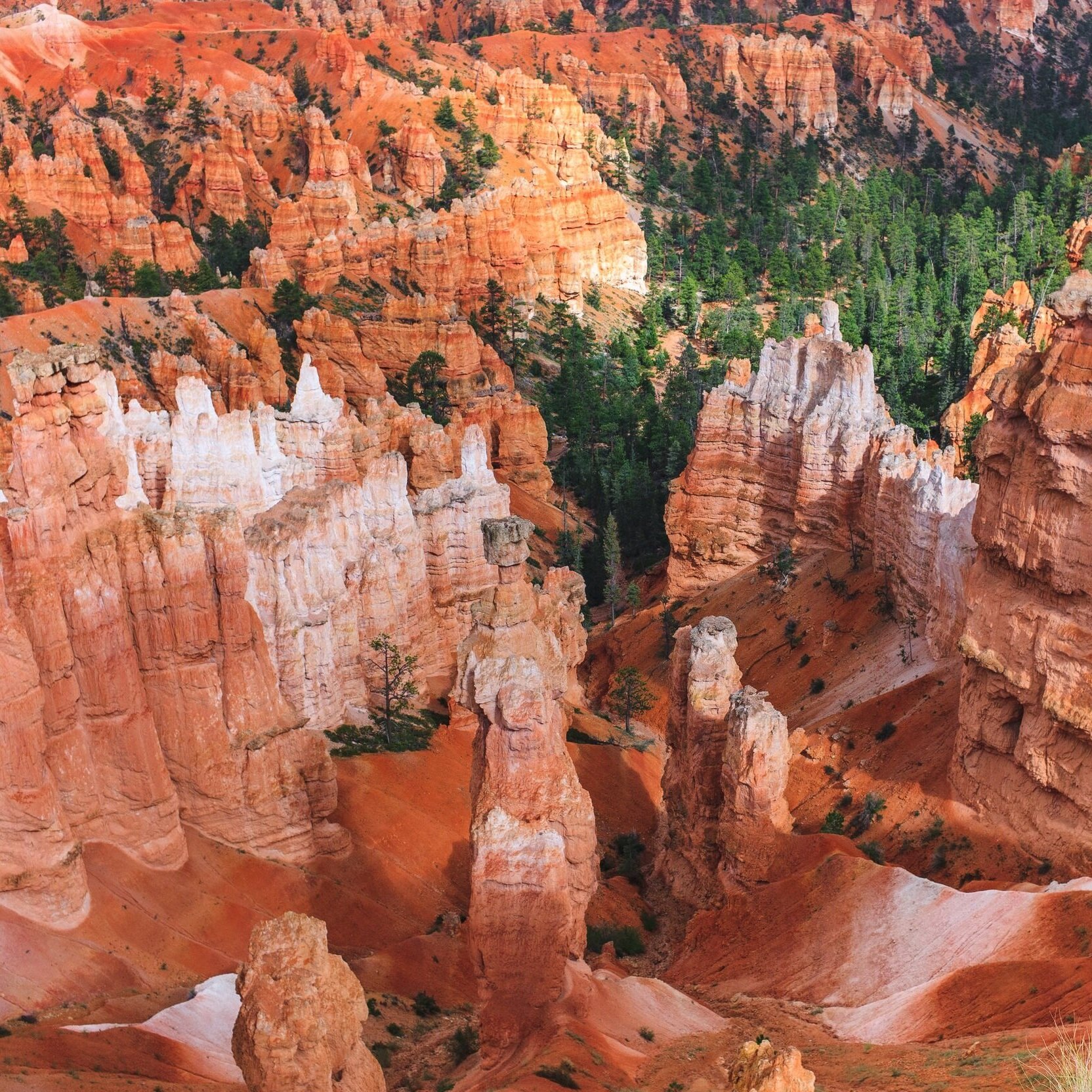 Bryce Canyon National Park Utah RV Trip