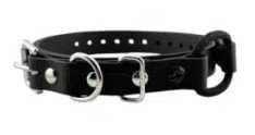 .75 Bungee Collar.jpg