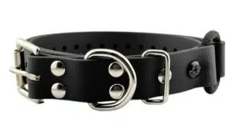 1 bungee collar.jpg