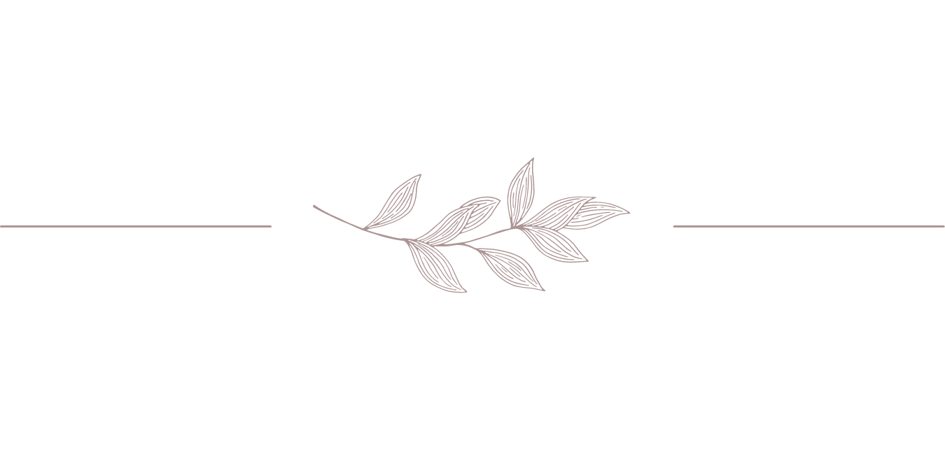 A minimalist line drawing of a branch with leaves, centered with a horizontal line extending on both sides.