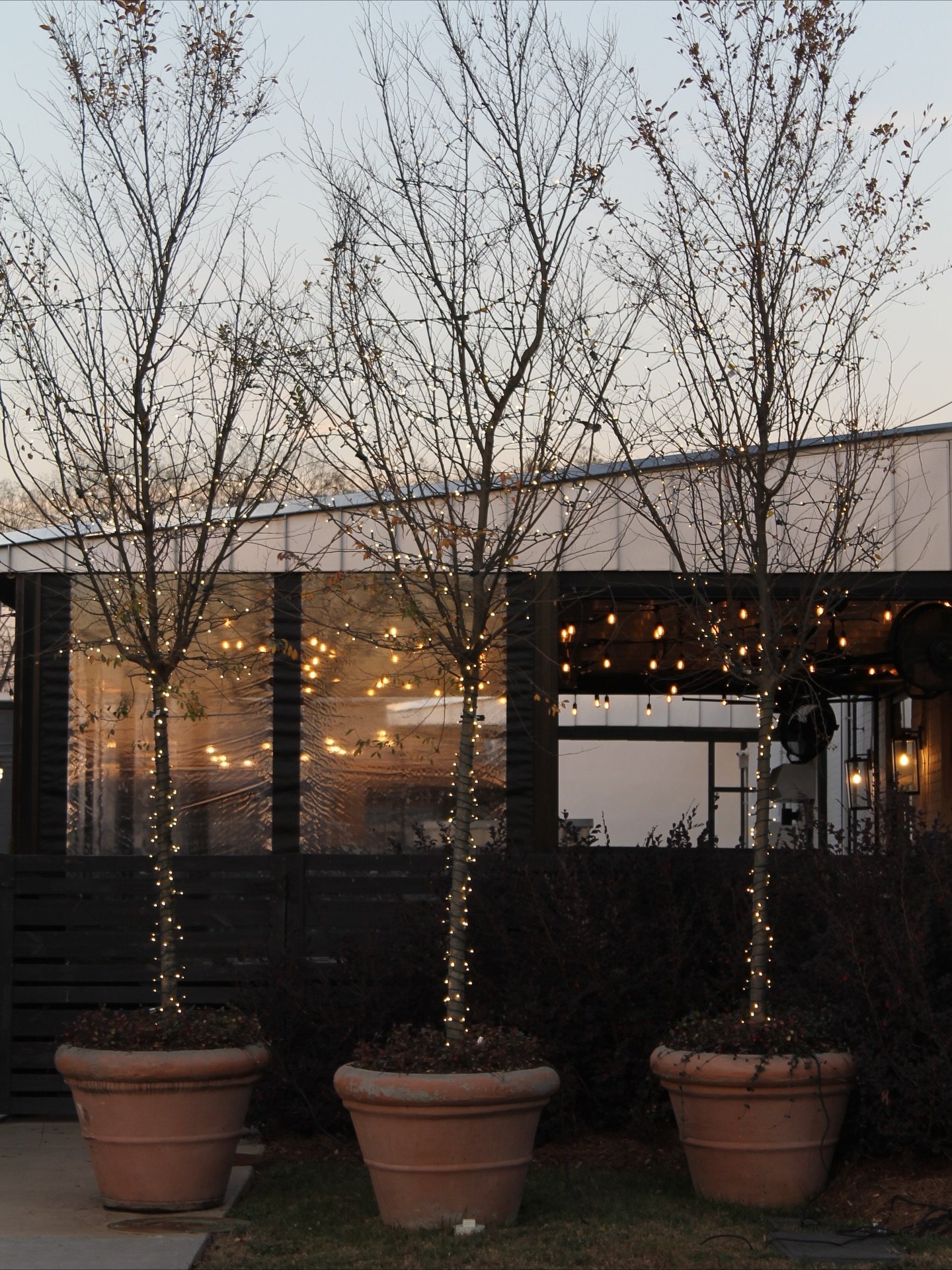 &lsquo;Tis the season for a little sparkle ✨