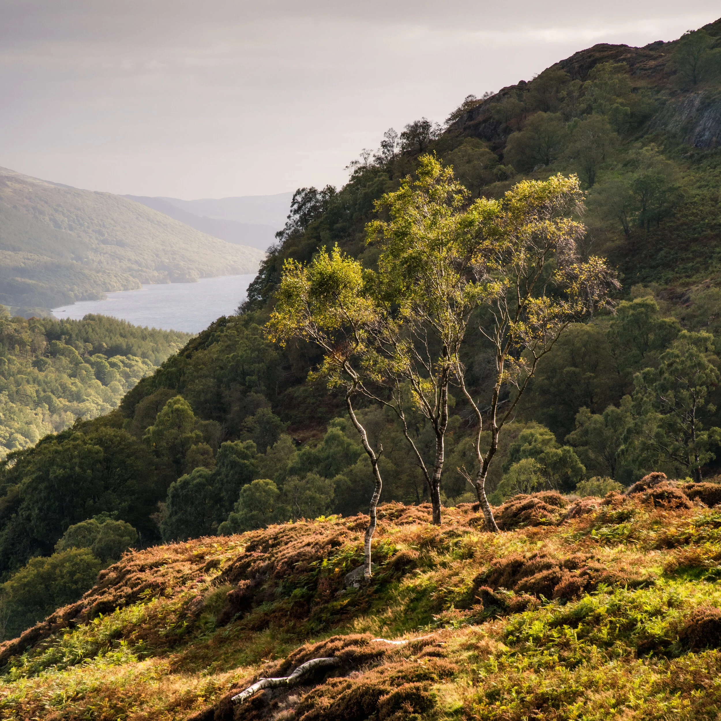 DSC_5034-Edit-3.jpg