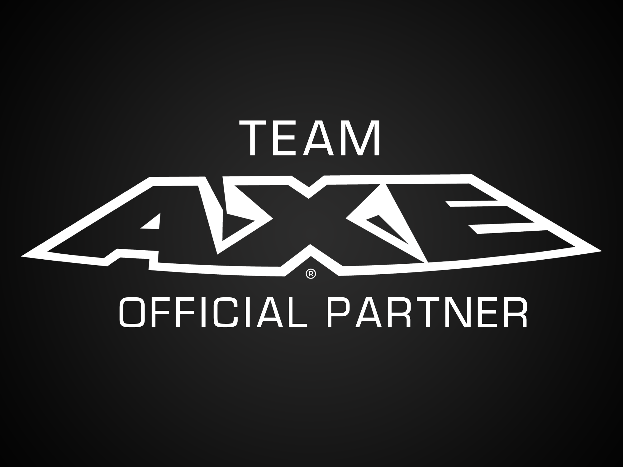 Team Axe Official Partner Logo (4).png