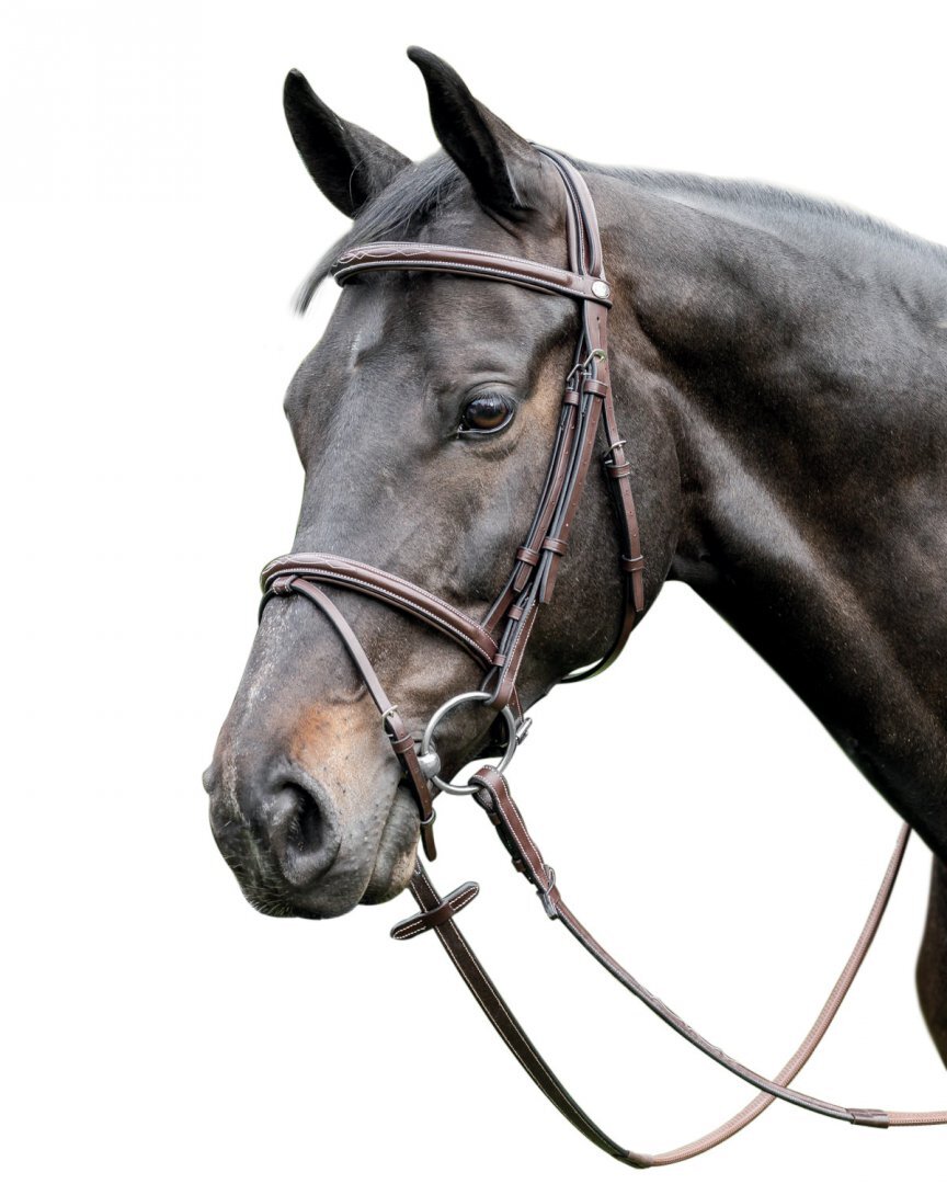 Exion Fancy Raised Leather Bridle with PP Rubber Grip Reins and Stainless Steel Buckles Equestrian Show Jumping Padded Bridle Set English Horse Riding Premium Tack