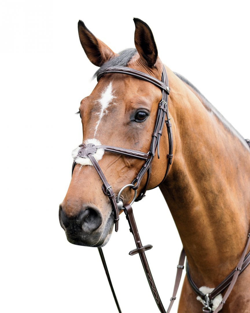 The Ragnar Collection Black Leather Padded Bridle with Diamante Detail,Rubber Reins & Flash