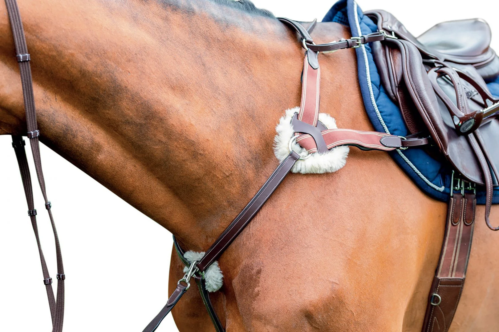 Attache Martingale De Course Kate Negus | S/H | Complet | équipement Cheval