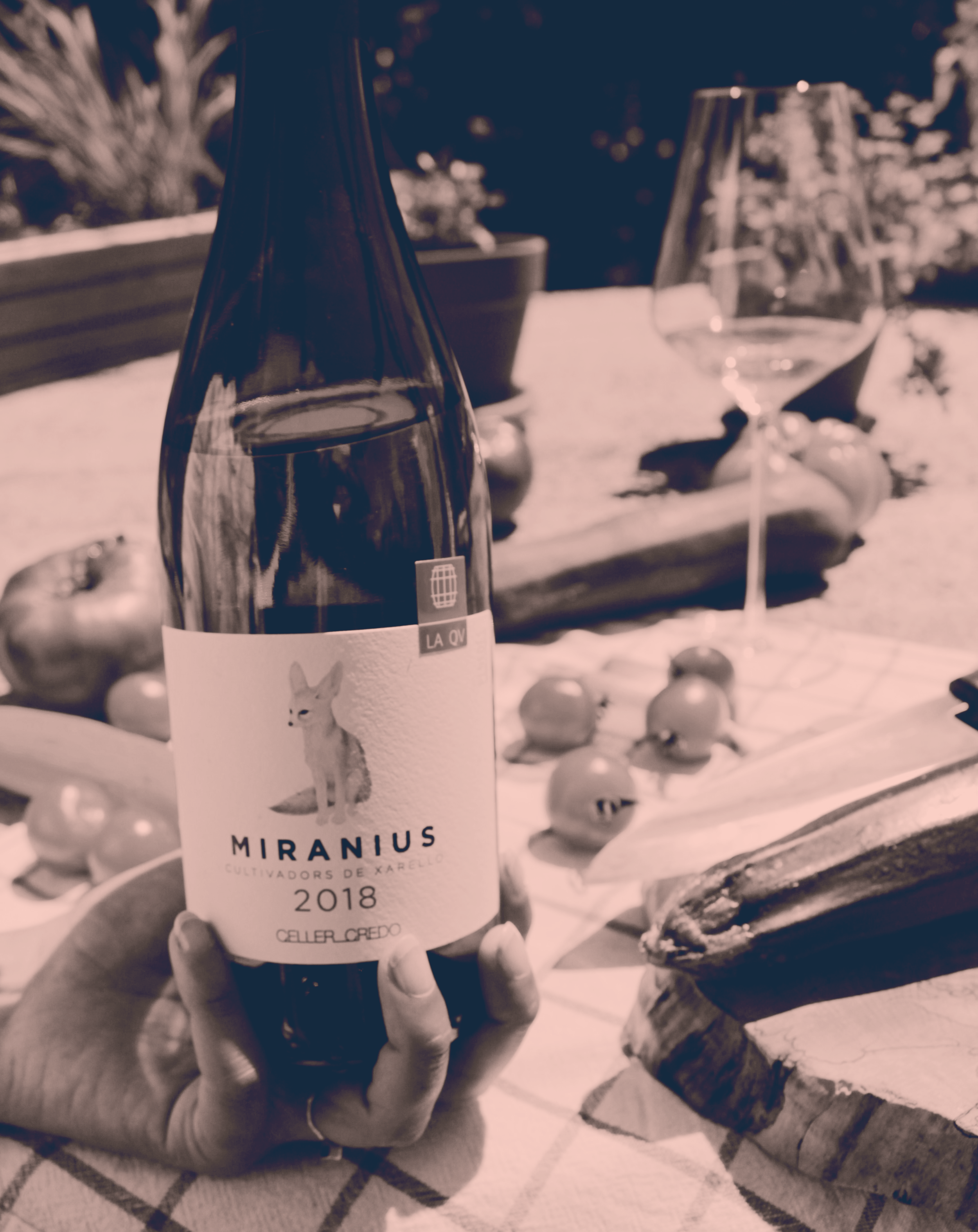 On déguste ! - Prise 2