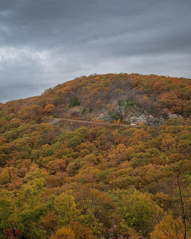 Peeking at the peak autumn leaves 🍁 #LoveVA #blueridgeparkway