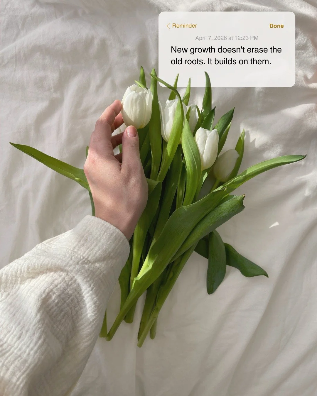 You don't have to forget where you've been to move forward.

Every experience &mdash; every hard season, every lesson, every version of yourself &mdash; is part of what makes you who you are becoming.

Growth isn't about leaving yourself behind. It's