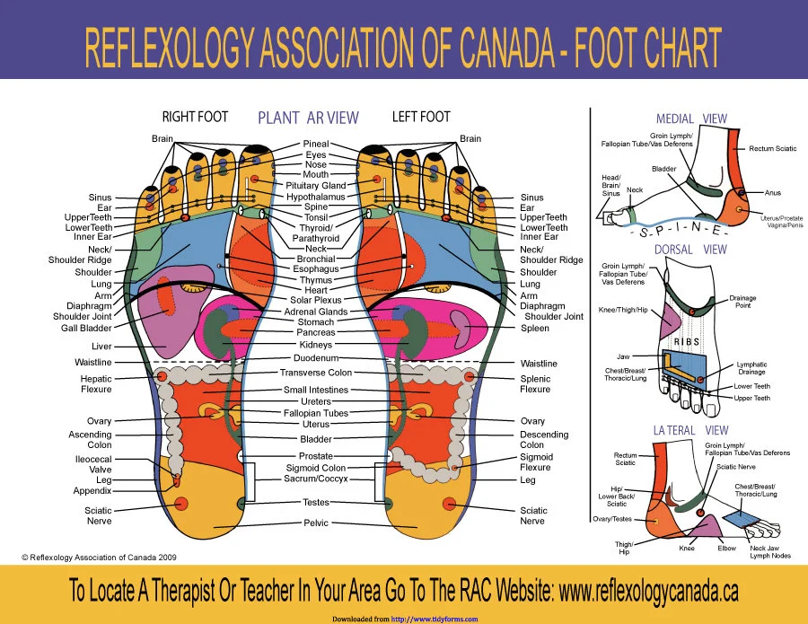 Core and Foot Reflexology course