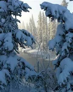 Northern Women's Yoga Retreat