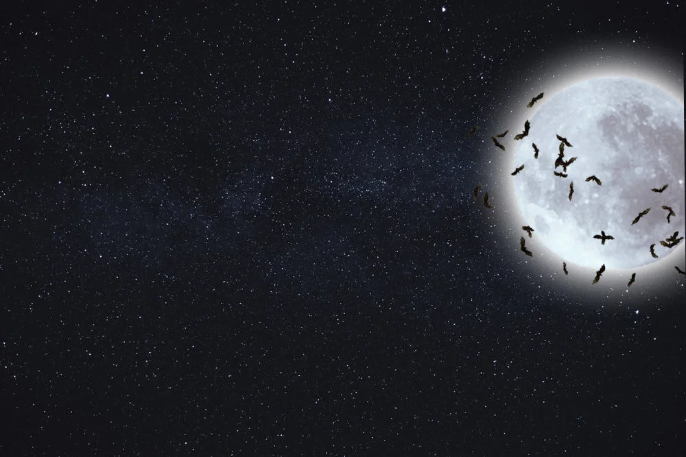 vzfs site sky moon.jpg