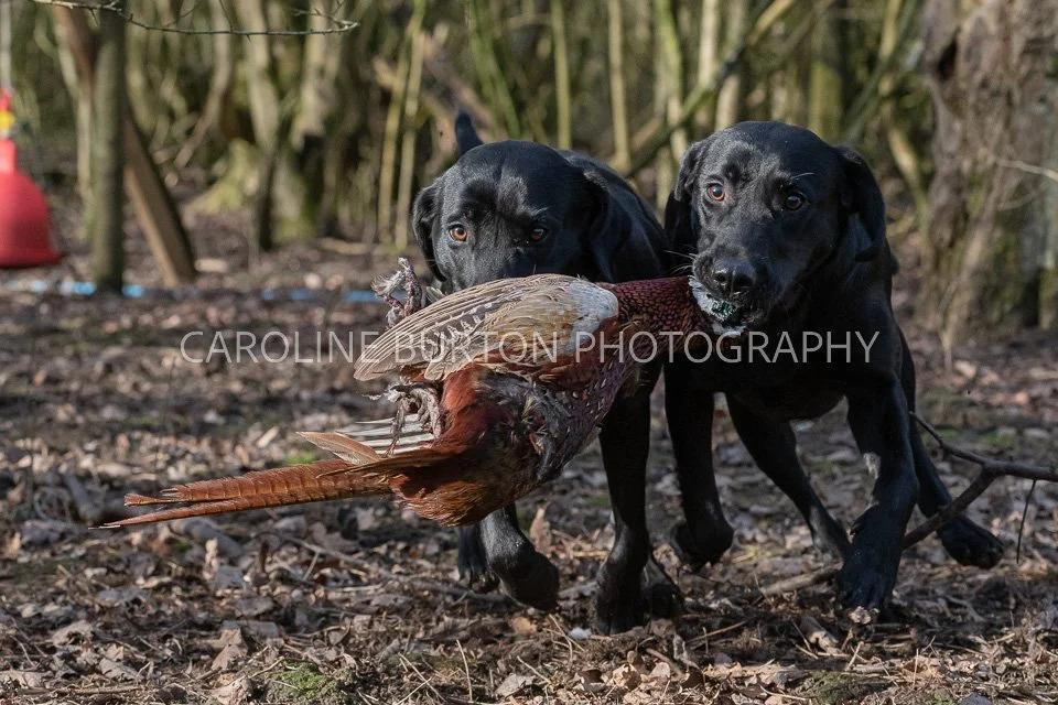 DSC_0300.jpg