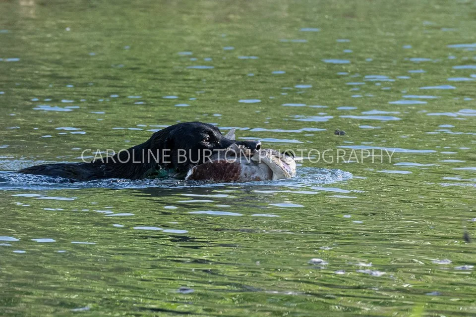 DSC_0525.jpg
