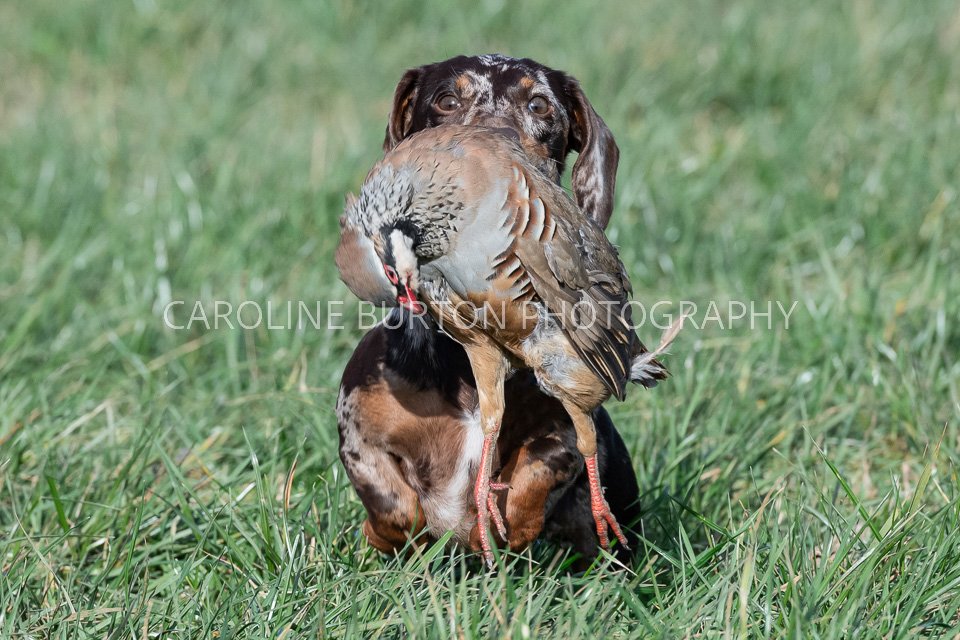 DSC_0720-Edit.jpg