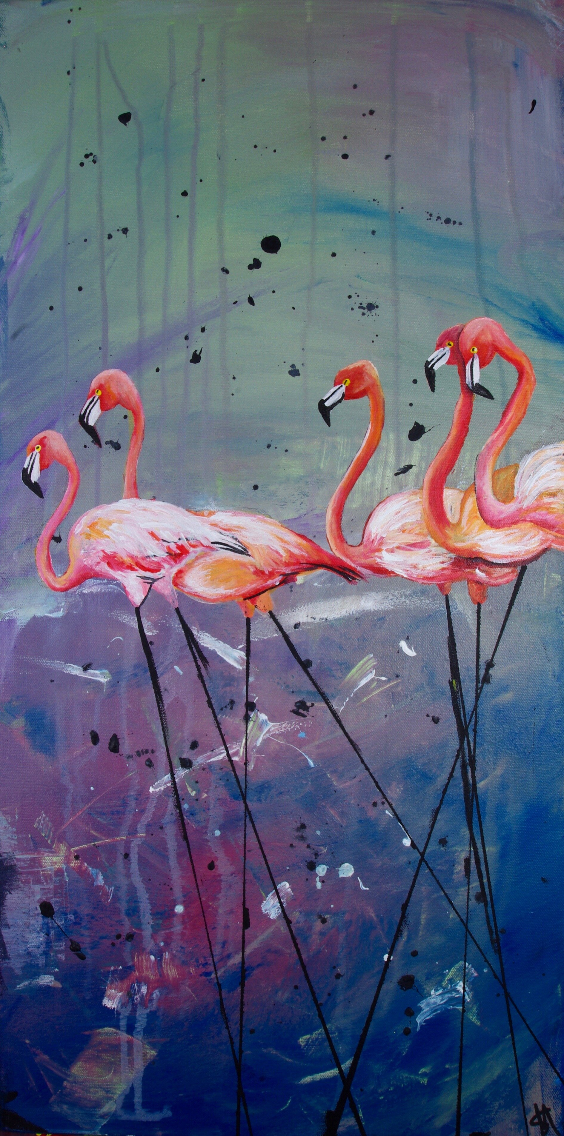Flamingos