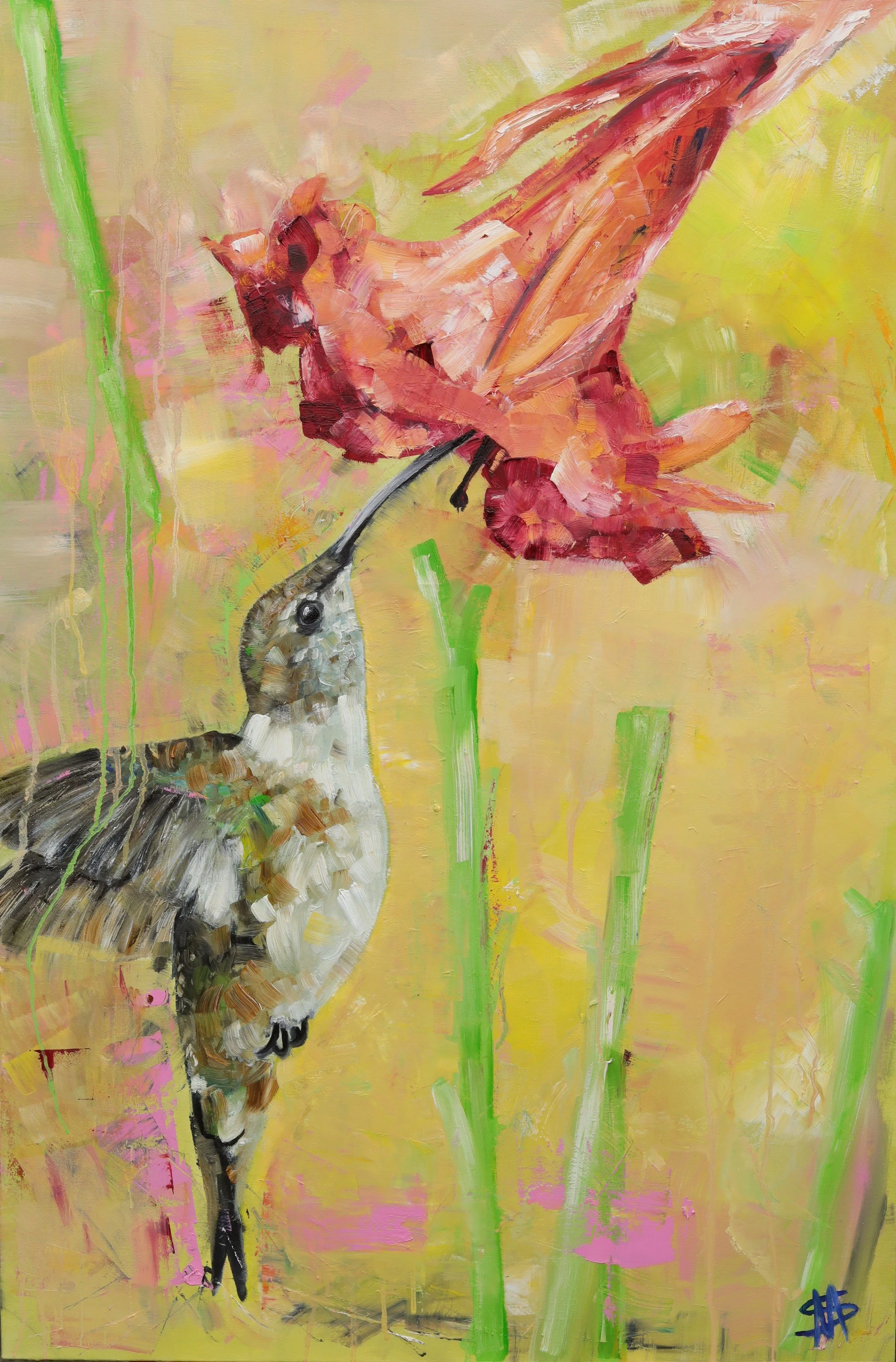 Hungry humming bird.jpeg