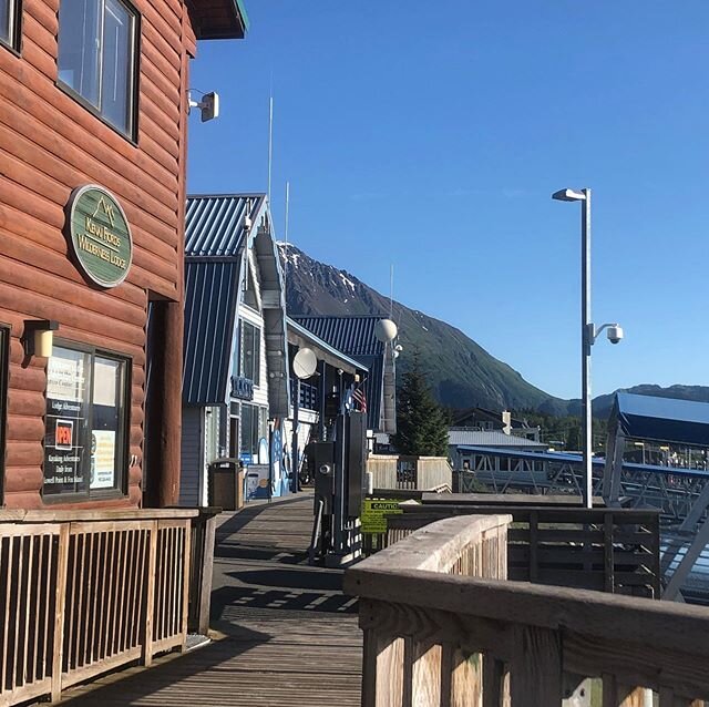 It&rsquo;s a beautiful morning to walk Seward&lsquo;s small boat harbor! What are you doing with your day? #SewardAlaska #SunnyCoveSeaKayaking #KayakAlaska #SealedSmallBoatHarbor #VacationSeward #VacationAlaska