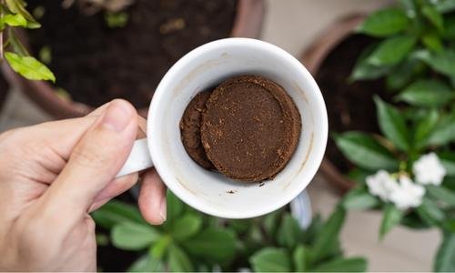 Reusing coffee grounds from events