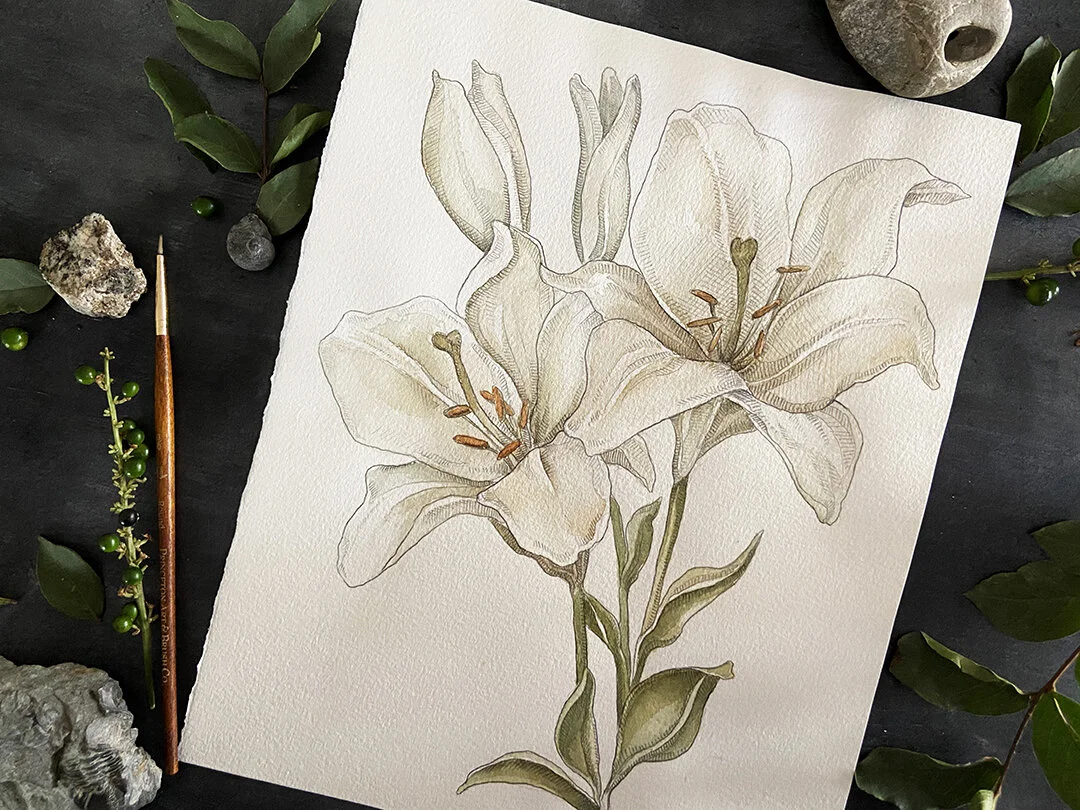 Asiatic Lily" an 8x10 Botanical Watercolor Fine Art Print  Sarah Rose