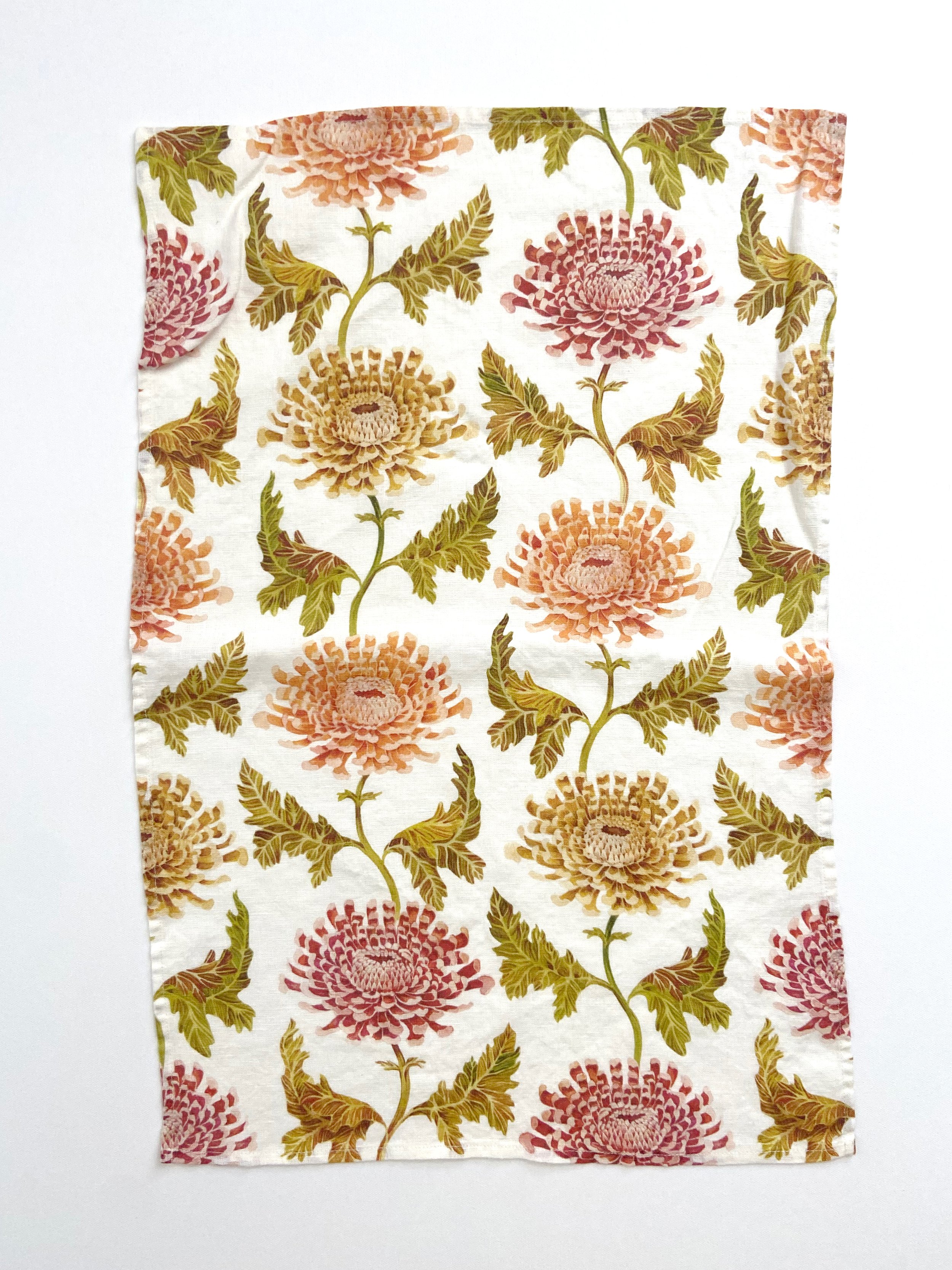 Chrysanthemum.jpeg