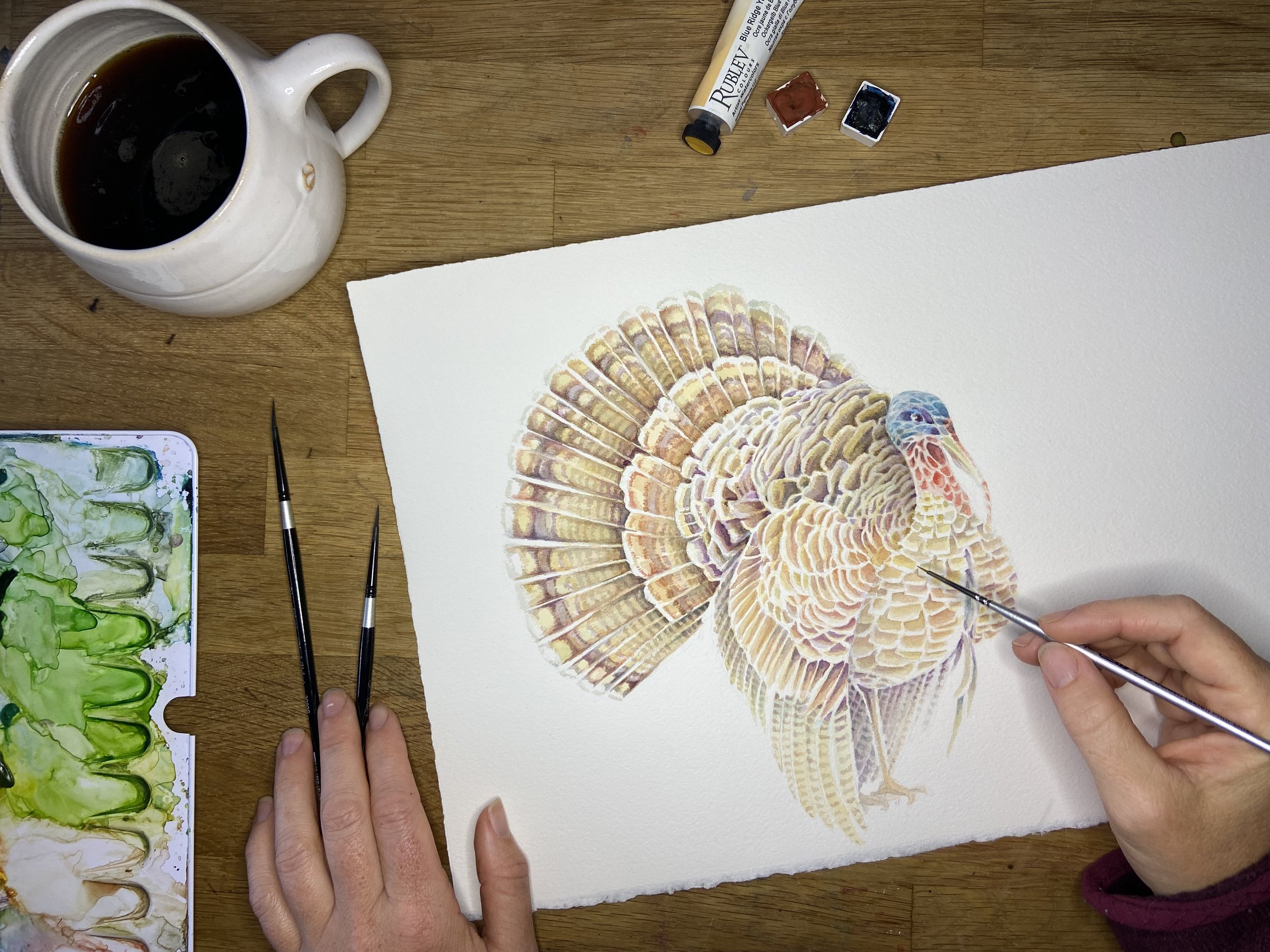 turkey in process.jpg