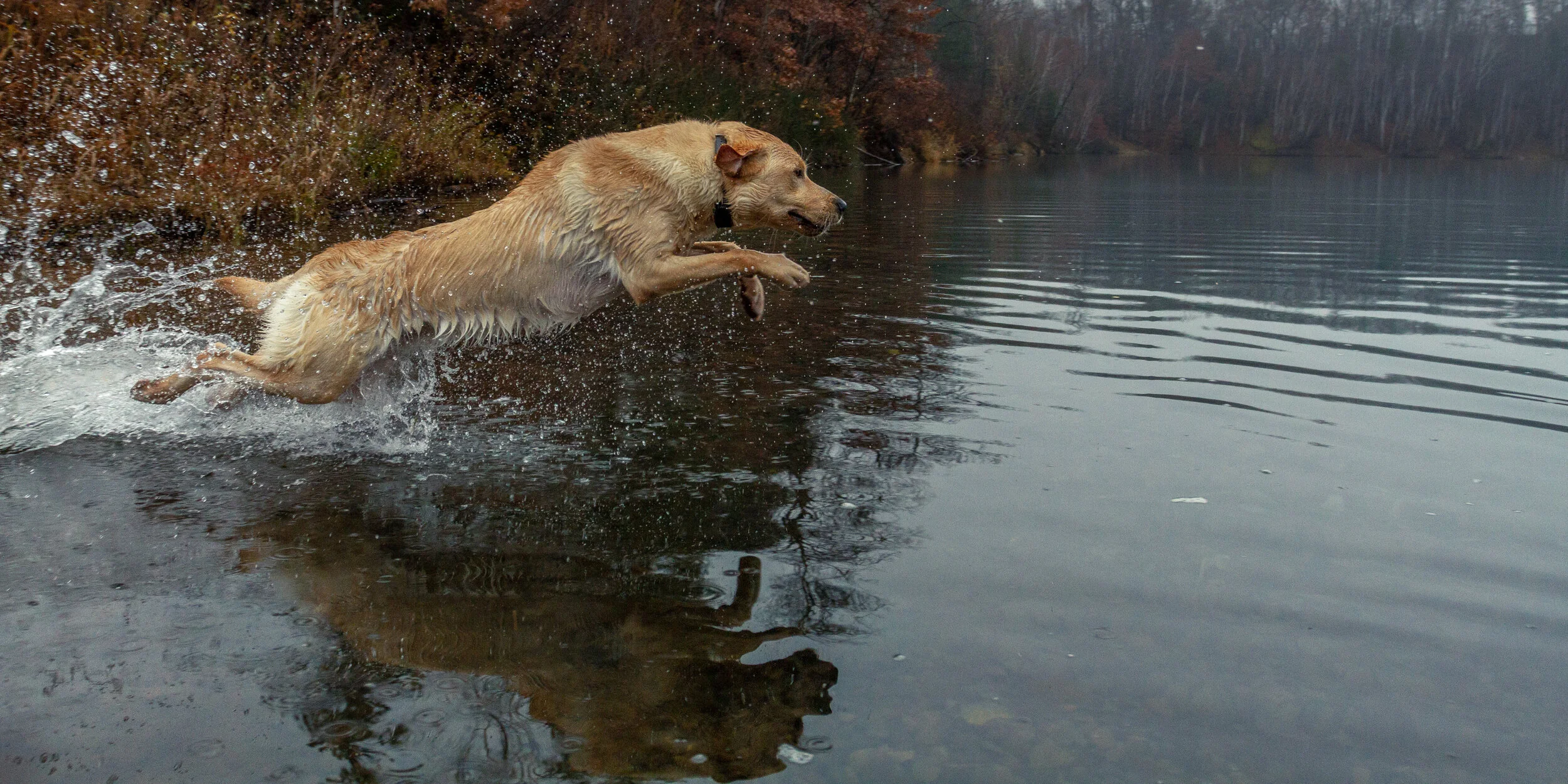 IMG_0026-2 copy 2.jpg