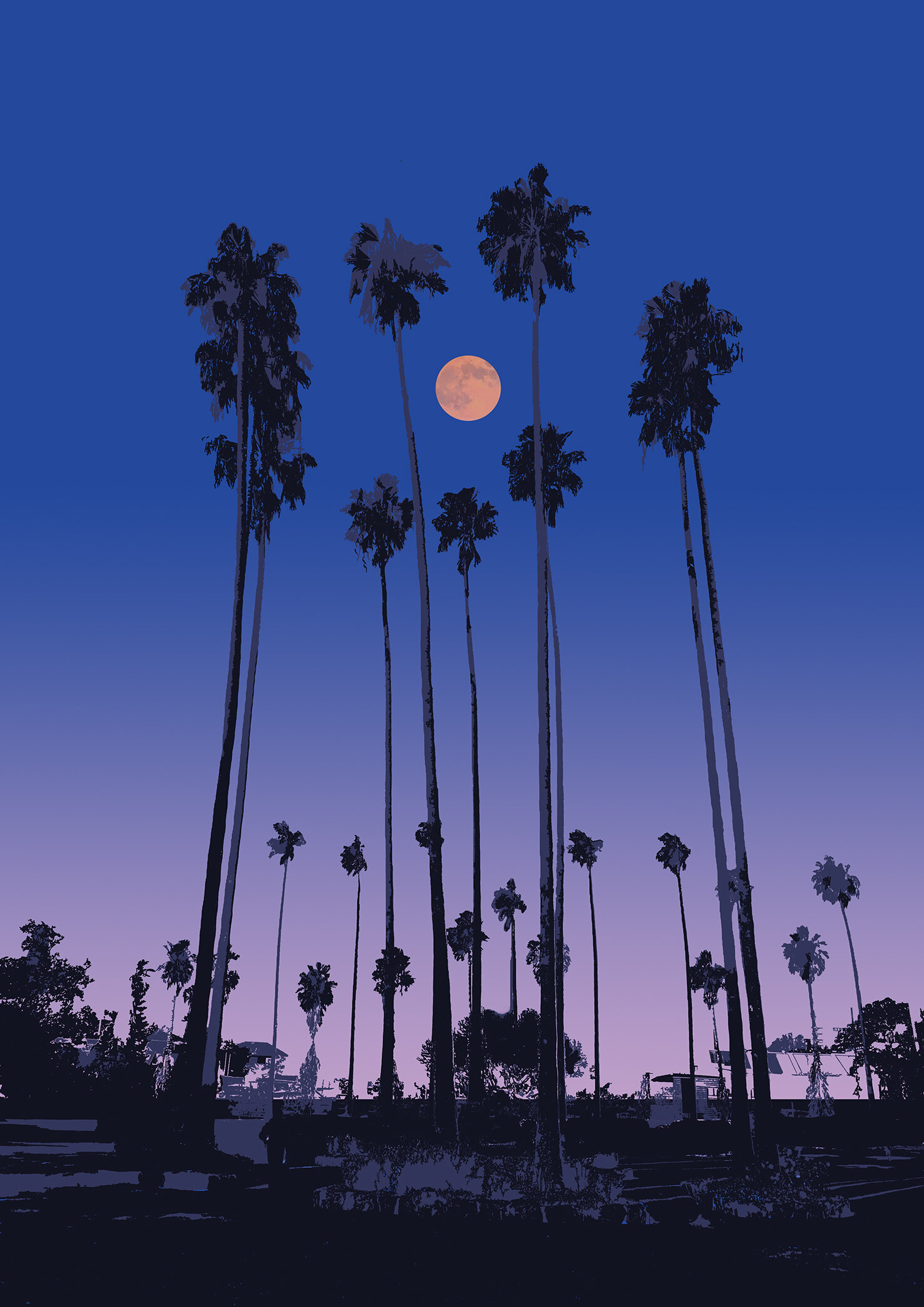 Milson Park Sydney Pink Moon